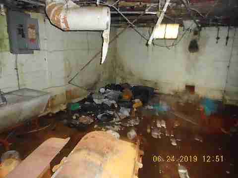 19458 Hasse (29)_m.jpg